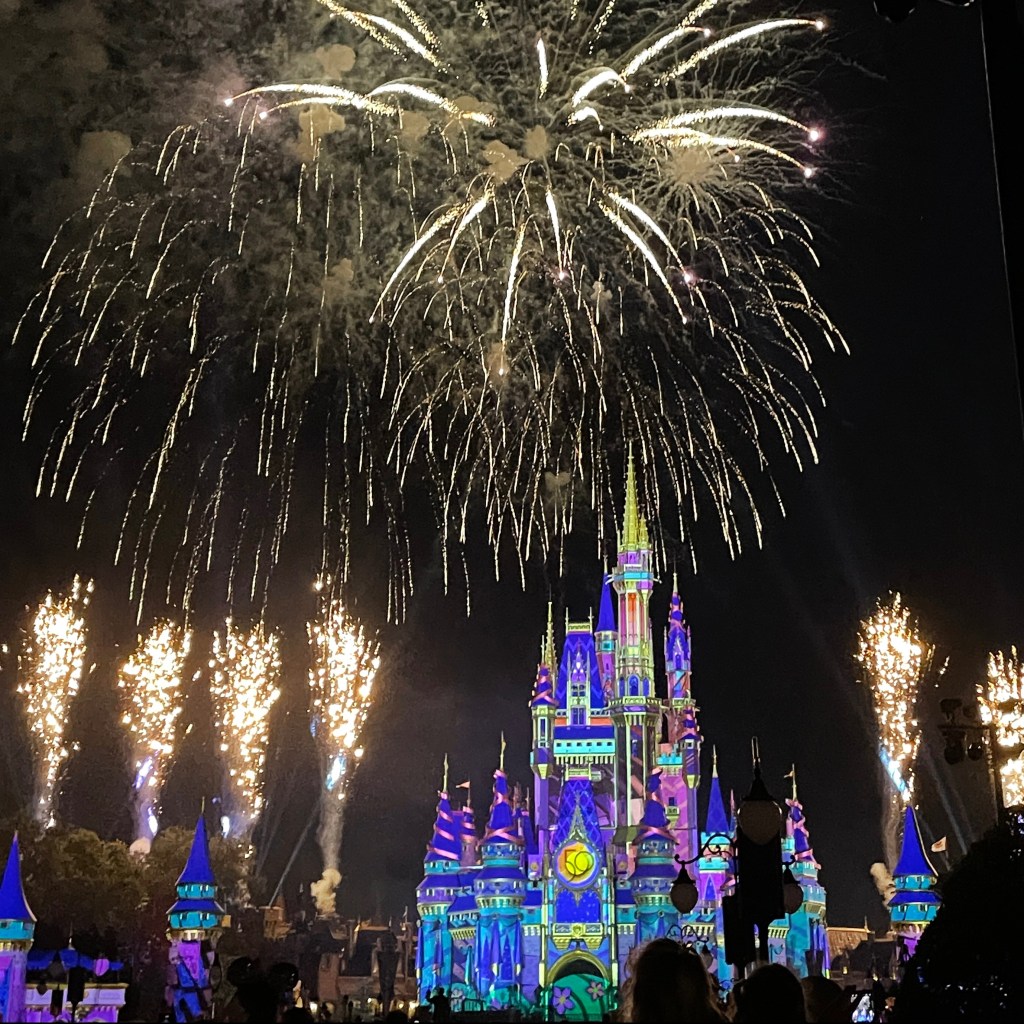 Why work with a Disney Vacation&nbsp;Planner?