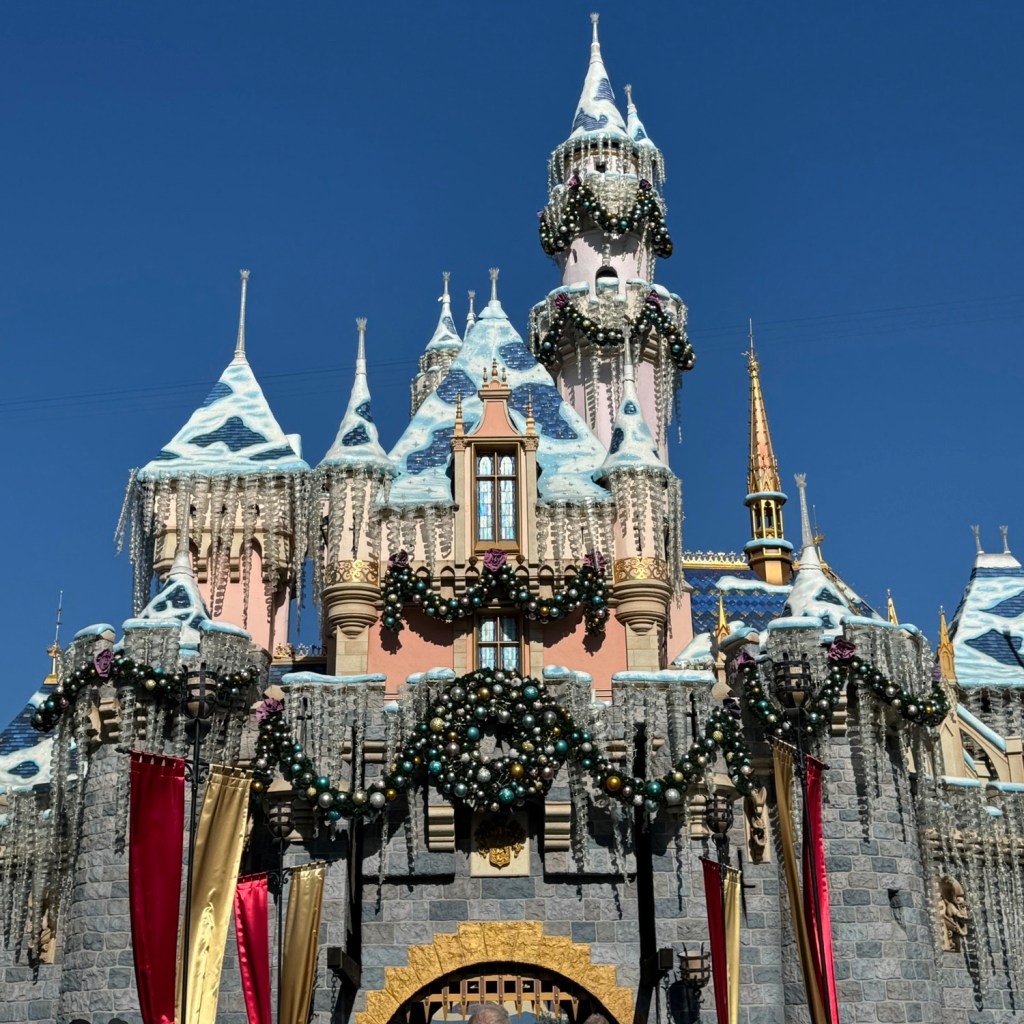 Press Family Disneyland Trip&nbsp;2024